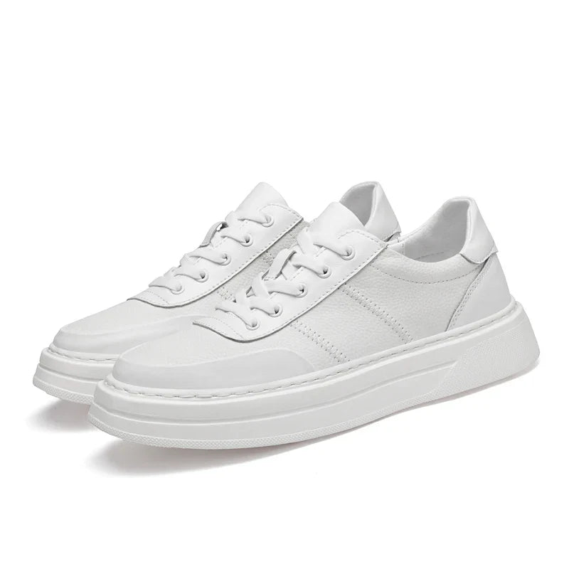 Rocc Sneaker aus echtem Leder